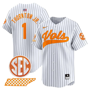 Personalized TV 2026 Vapor Premier Limited Baseball Jersey - Stitched - Pinstripe / Thornton Jr. Stitched
