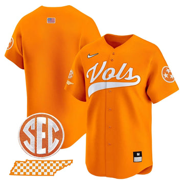Personalized TV 2026 Vapor Premier Limited Baseball Jersey - Stitched - Orange / Team Stitched