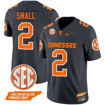 Personalized TV 2026 Vapor Limited Jersey V3 - Smokey Grey / Jabari Small Stitched