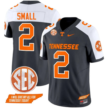 Personalized TV 2026 Vapor Limited Jersey V3 - Grey Alternate / Jabari Small Stitched